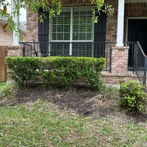 Bush Trimming by Ford year-round Lawn Service reviewed on August 19, 2025