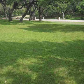 yard care by Glenda'slandscaping reviewed on August 16, 2025