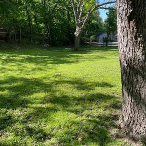 yard care by N.A.L Landscaping and Services LLC reviewed on August 15, 2025