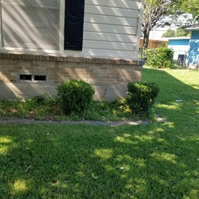 Bush Trimming by Under the Mhoon Landscaping reviewed on August 19, 2025