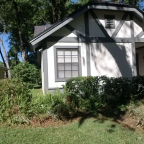 Bush Trimming by Westveld Mowing reviewed on August 21, 2025