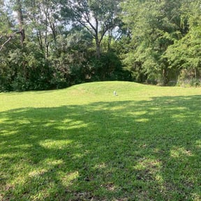 turf care by HHS, LLC reviewed on August 21, 2025