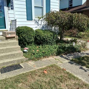 Bush Trimming by C&amp;J Lawn Care and Pressure Washing reviewed on October 19, 2025