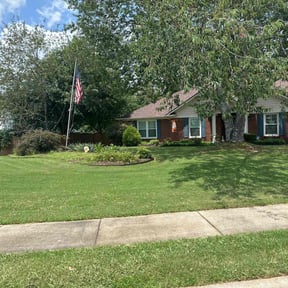 grass cutting by Sakura Lawn and Tree Services reviewed on August 18, 2025