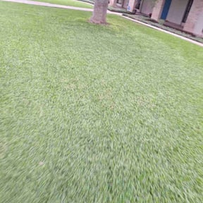 lawn service by BJ Mowing LLC reviewed on March 31, 2024