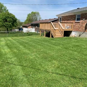 yard care by Alpha Lawn Maintenance reviewed on August 17, 2025