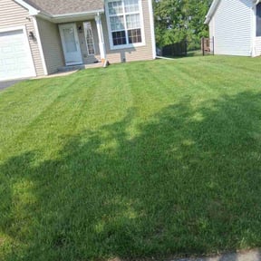 yard work by Emanuel Lawn Mowing LLC reviewed on August 19, 2025