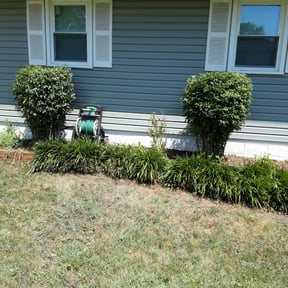 Bush Trimming by H & S Lawn Service. reviewed on August 20, 2025
