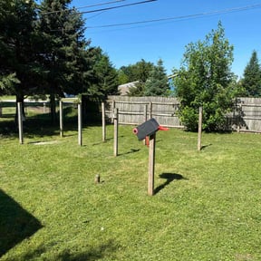 lawn service by Loza Lawn & Home Services reviewed on April 18, 2024