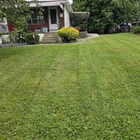 lawn maintenance by GET Tax Service reviewed on April 29, 2024