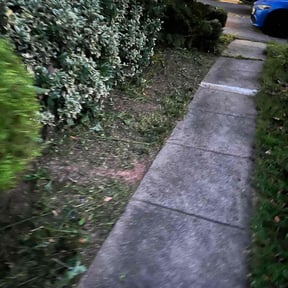 Bush Trimming by Phal SP landscape reviewed on October 21, 2025