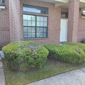 Bush Trimming by T &J lawn care reviewed on August 17, 2025