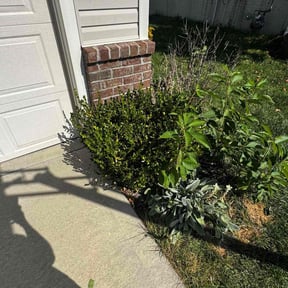 Flower Bed Weeding by Holland lawn reviewed on November 8, 2025