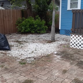 Leaf Removal by AMAZING GRAZERS reviewed on September 6, 2025