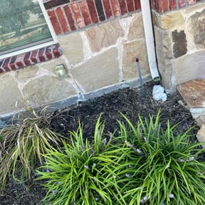 turf maintenance by Outdoor dash reviewed on April 12, 2025