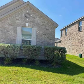 Bush Trimming by Highly Favored Cleaning & Lawn Care LLC reviewed on August 19, 2025