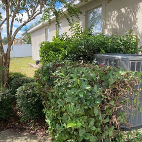 Bush Trimming by Early Risers Lawncare Service reviewed on December 4, 2025