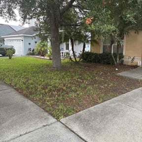 Leaf Removal by Orlando Miranda reviewed on July 21, 2026