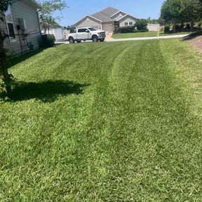landscaping by Var Landscape reviewed on August 15, 2025