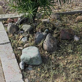 Flower Bed Weeding by Rosas Handy Workz reviewed on October 20, 2025