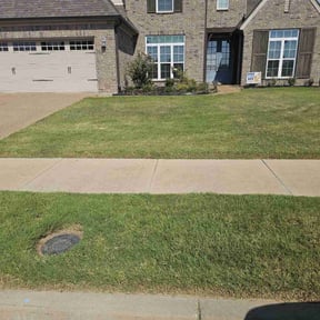 grass cutting by Ort&#039;z VIP Landscaping reviewed on August 23, 2023