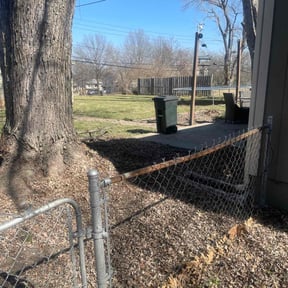 Leaf Removal by Rhoyalty Lawn Care, LLC reviewed on August 19, 2025