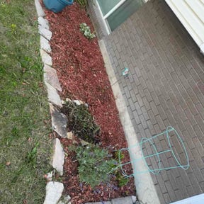 Flower Bed Weeding by Bello Properties reviewed on June 22, 2026