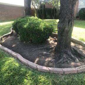 Flower Bed Weeding by Tim's Mowing and More reviewed on August 18, 2025