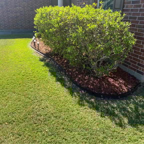 residential landscaping by Greg's Landscaping reviewed on August 21, 2025