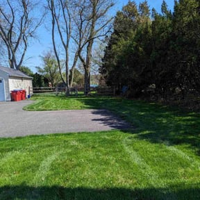 yard work by Ron's lawn care reviewed on August 16, 2025