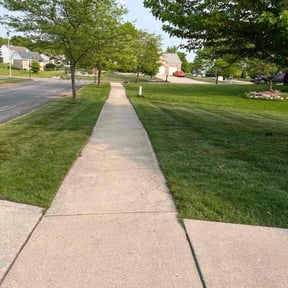 landscaping by Israel Chavez reviewed on August 15, 2025