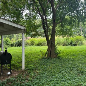 Bush Trimming by D&D Lawn Care& Maintenance reviewed on August 20, 2025
