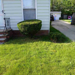 Bush Trimming by Venerable Lawn Care LLC reviewed on May 27, 2026