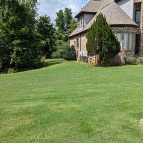landscaping by Loloz lawnz reviewed on August 16, 2025