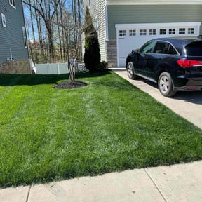 landscaping by Nextdoor Lawn Services LLC reviewed on August 18, 2025