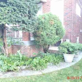 Bush Trimming by Serenity Lawn Care and Property Maintenance reviewed on August 19, 2025