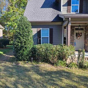 Bush Trimming by Philipp&#039;s Property Maintenance LLC reviewed on November 18, 2025