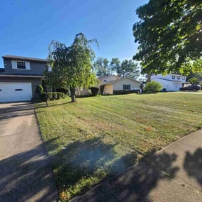 grass cutting by USA Lawncare Inc reviewed on August 18, 2024