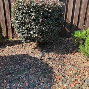 Bush Trimming by Too Cool Lawn Care reviewed on June 22, 2023