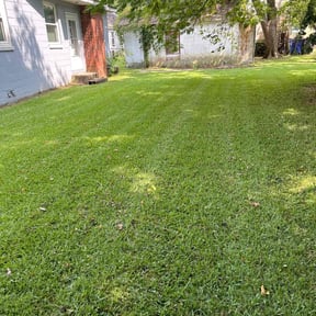 landscaping services by Rolando Herrera reviewed on August 21, 2025