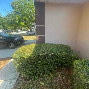 Bush Trimming by Green T's Lawn &amp; Landscape reviewed on April 2, 2026