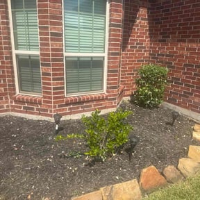 Bush Trimming by Hardscaping Plus reviewed on November 10, 2025