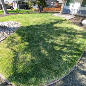 lawn care by Tikitiki Garden Service reviewed on May 5, 2025