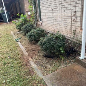 Flower Bed Weeding by Mondragon landscaping reviewed on October 20, 2025