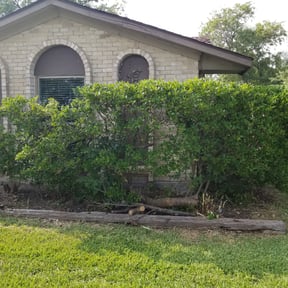 Bush Trimming by Top Dog Lawn Care reviewed on August 20, 2025