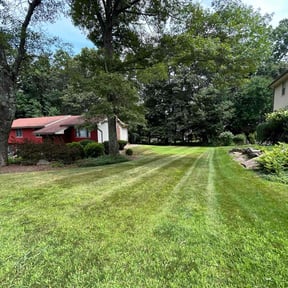 grass maintenance by George Islas reviewed on May 9, 2024
