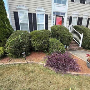 Flower Bed Weeding by Handymanje reviewed on October 20, 2025