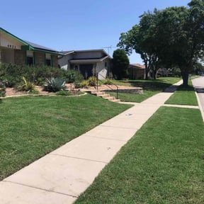 yard maintenance by Texas 4 Seasons reviewed on August 20, 2025