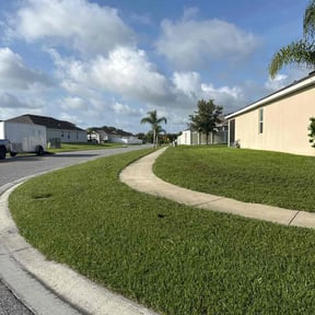 residential landscaping by Cypress Lawn and Landscape reviewed on August 18, 2025