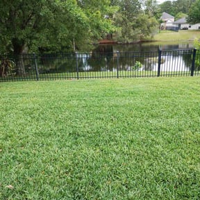 landscaping services by Little service's LLC reviewed on August 17, 2025